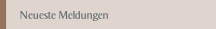 wp2c02c81d.png